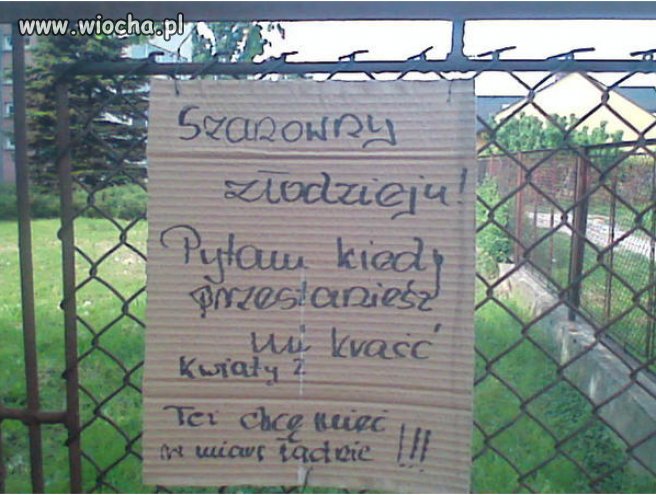 Szanowny złodzieju! 