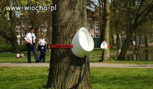 Ktoś miał świetny pomysł, idealny dla ekshibicjonistów