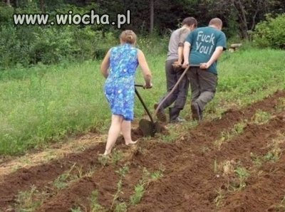 Nie każdy lubi to co robi