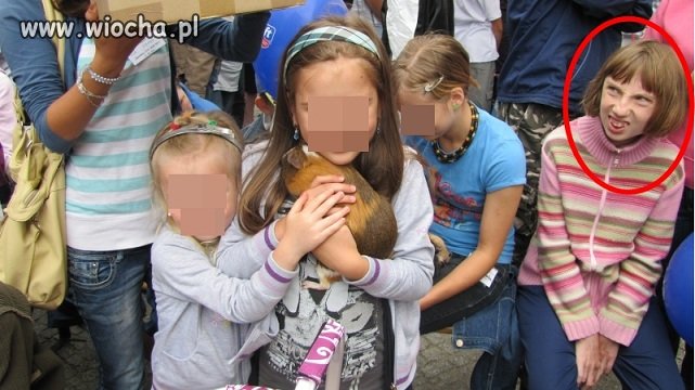 Mistrz PRAWEGO planu