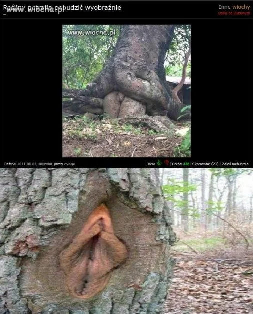 YYY...