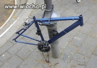 W Polsce nie kradną