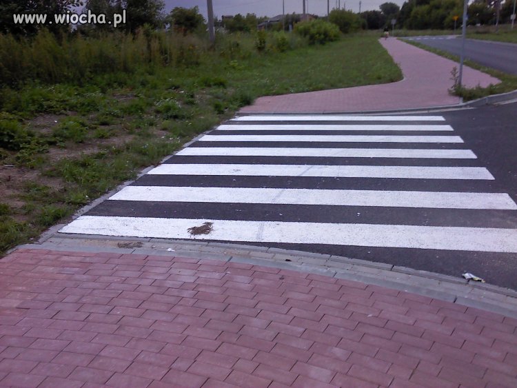 Przejście dla pieszych.