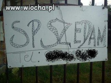 Ortografia.