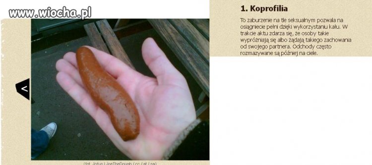 Yy... bear grylls
