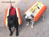 Hot - Dogii. !   