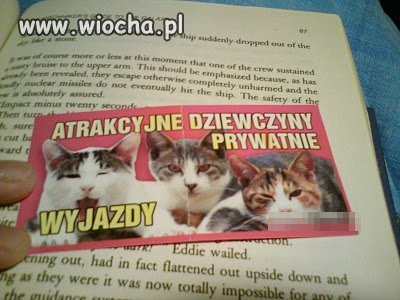 Atrakcyjne dziewczyny ..