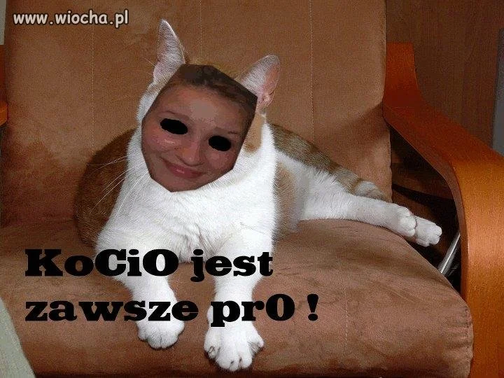 Miszcz painta...