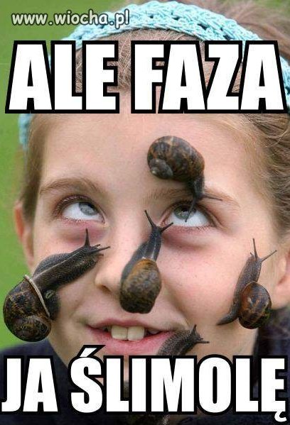 Fuj...
