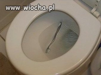O niee!