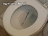 O niee!