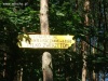 Zezwolenie