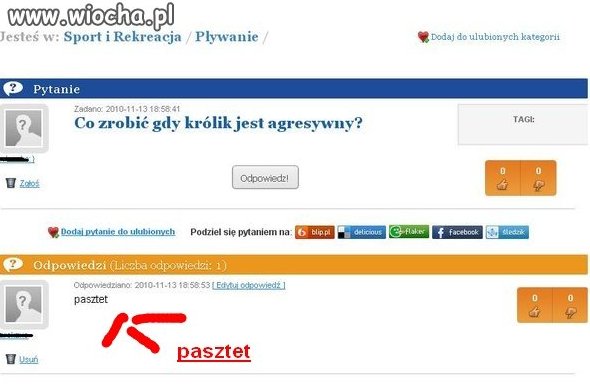 Co zrobić gdy królik jest agresywny?