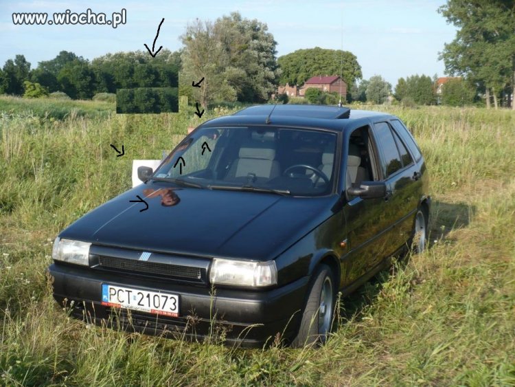 Mistrz paint'a... 