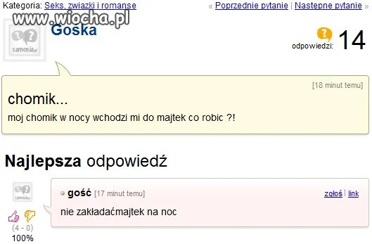 Chomik.