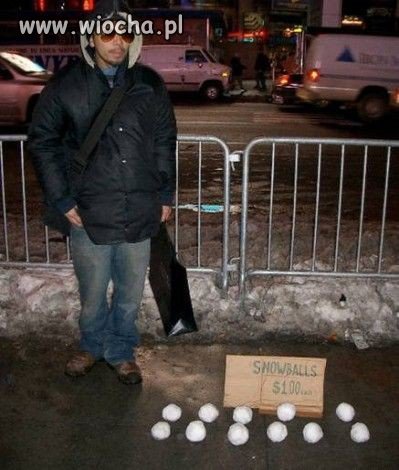 Świat spada na psy.
