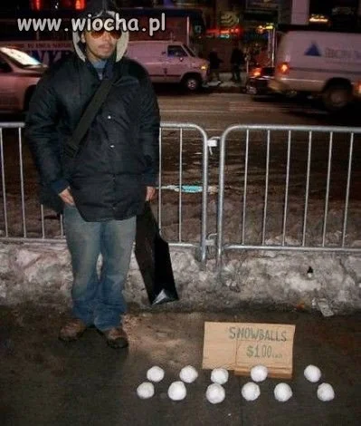 Świat spada na psy.