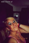 Solara, tapeta, cyce na wierzchu, sweet focia .