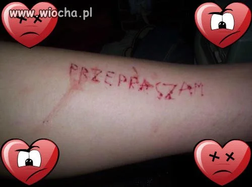 Ludzka głupota nie zna granic