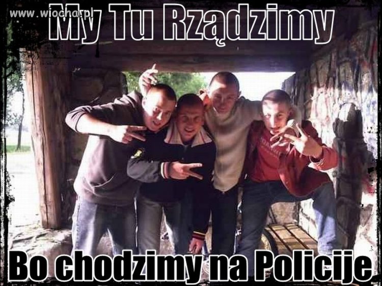 Ja, rudy, pezet, cinio i zając