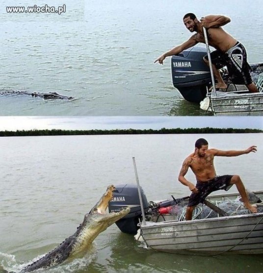 Palcem się nie pokazuje..
