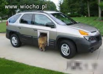 Drzwiczki w samochodzie dla psa