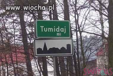 Tumidaj  gdzie szumi gaj