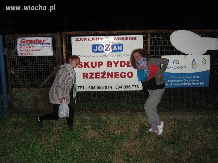 Skup bydła rzeźnego