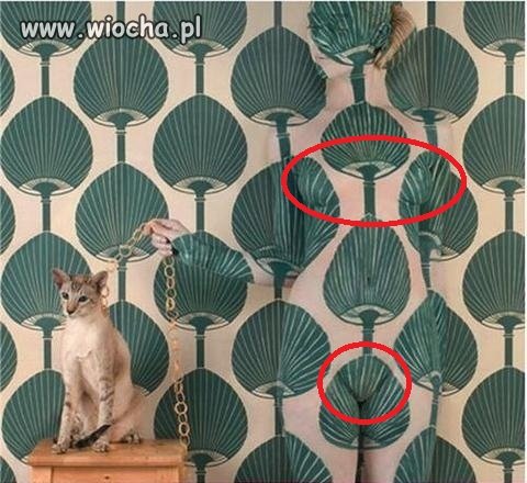 Każdy facet szuka cycków...
