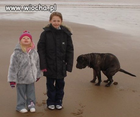 Takie tam na plaży 
