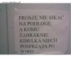 WC Męskie w Siedlcach