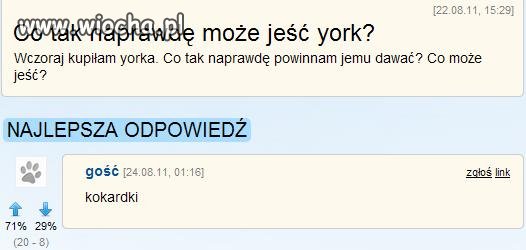 Co je york?