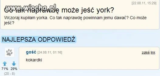 Co je york?