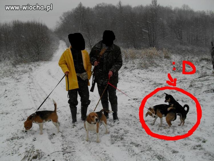 Zdjęcie dodane na naszej klasie...