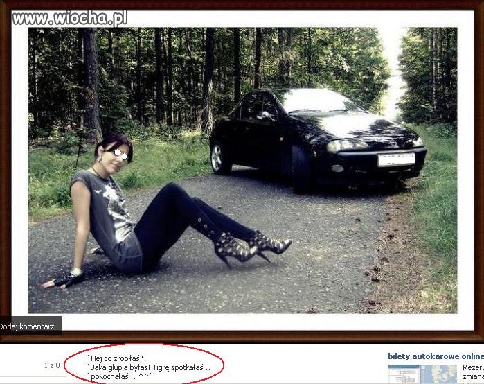 Tigrę spotkałaś... pokochałaś