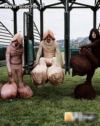Wacek, Fred, Pindol. 