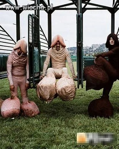 Wacek, Fred, Pindol. 
