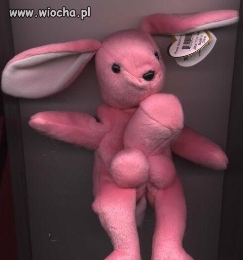 Co to ludzie nie wymyślą 