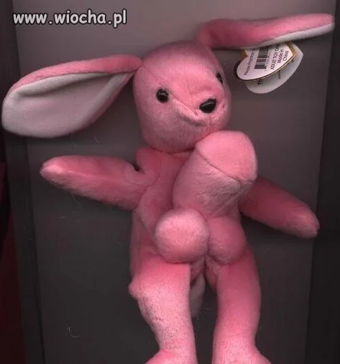 Co to ludzie nie wymyślą 
