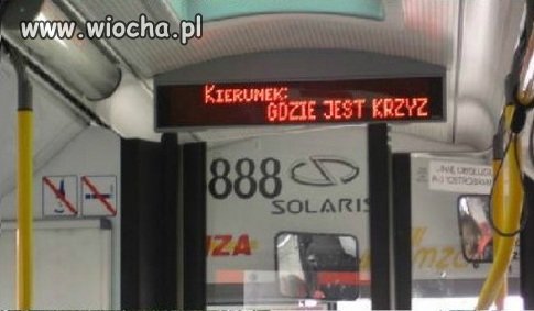 Tylko kierowca autobusu komunikacji miejskiej...