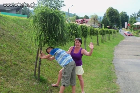 Synuś  