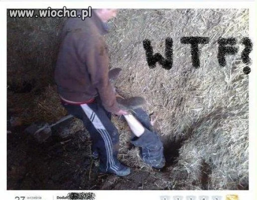 Ciekawi mnie jedno...