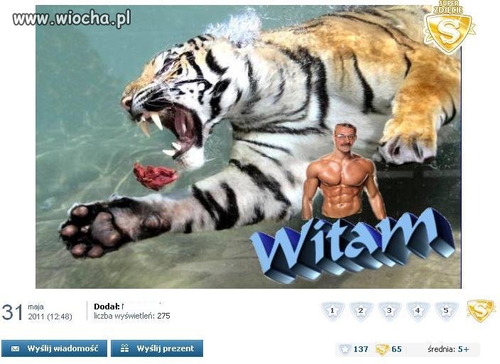 Mistrz obróbki 