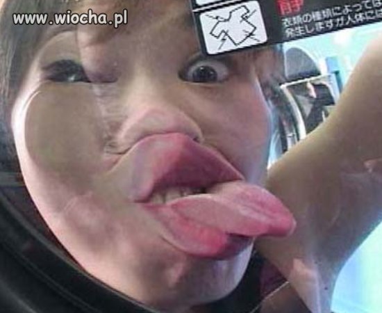 Japan Style