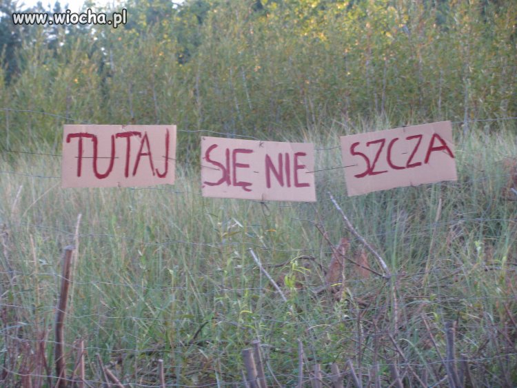 Władyslawowo 2011