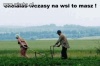 Agroturystyka 