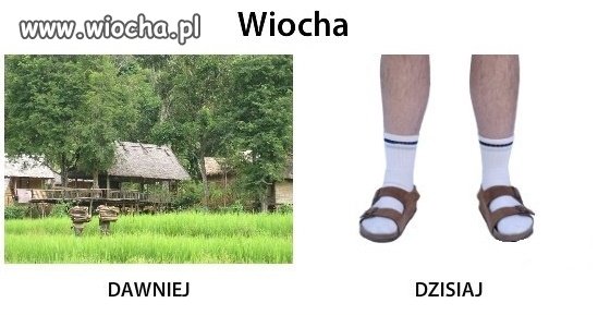 W sumie to racja