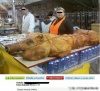 Były sobie świnki...