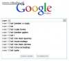 Wujek google