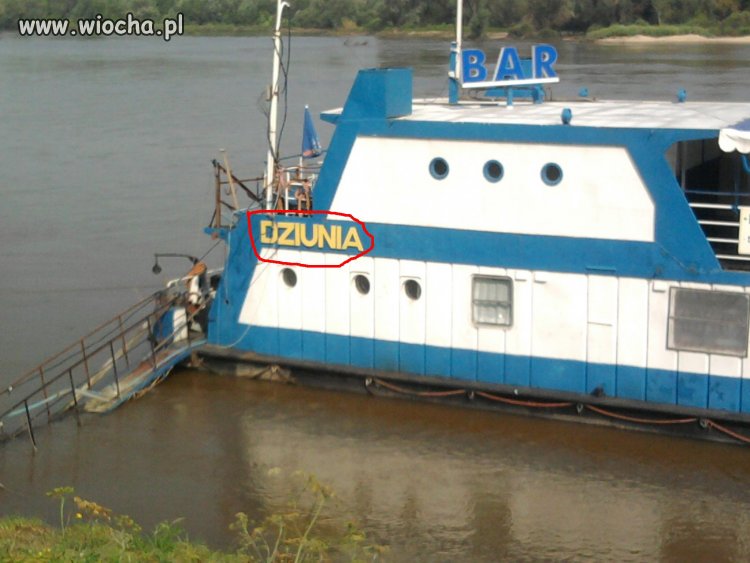 Dziunia